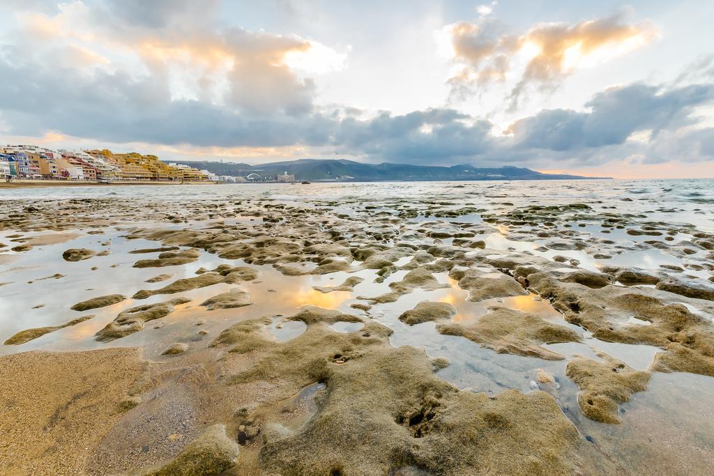 Crisol Faycan Las Palmas de Gran Canaria Exteriér fotografie